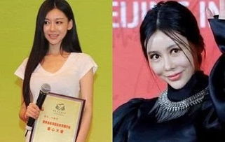 五個悔不該當初去整容的女星,鄭爽上榜,網友 圖5真的太可惜了